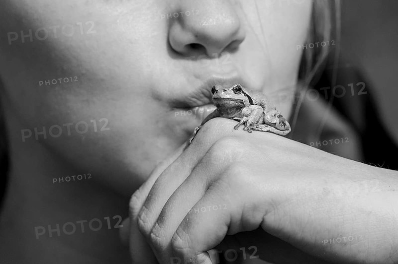 A young woman kisses a small frog Frog King Tree Frog (Hyla arborea) sitting on her hand close-up, black and white photograph, Dümmer nature park Park, Lower Saxony, Germany