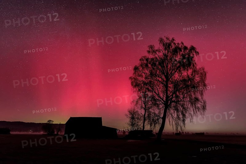 Northern lights, aurora borealis, solar storm, January 2026, red, green, hut, trees, birch, Loisach-Lake Kochel-Moore, Alpine foothills, Bavaria, Germany