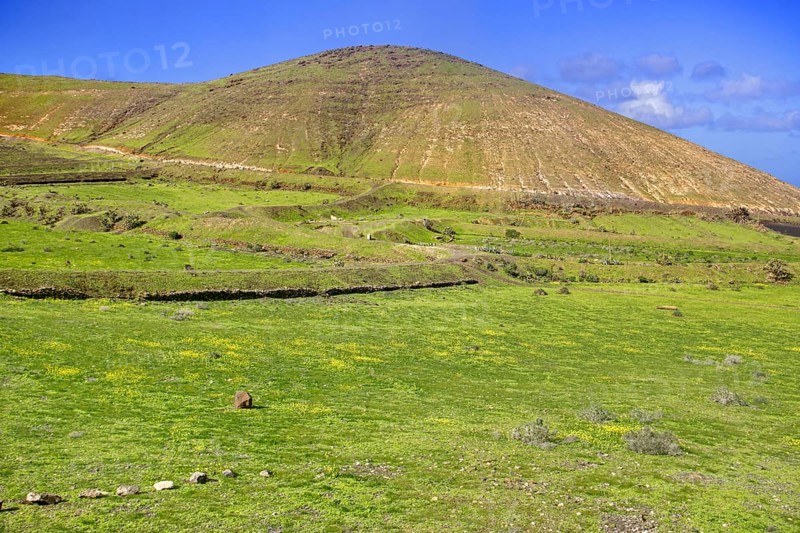 Green valley with hills and blooming meadows, Yaiza Lanzarote