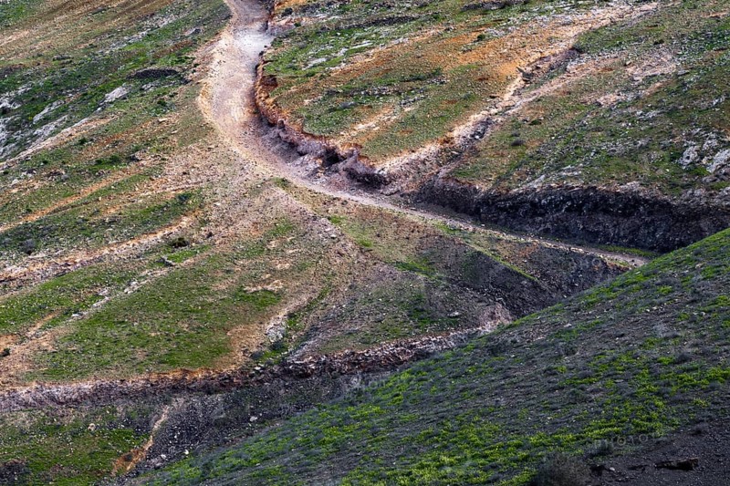 Eroded trail snakes through a hilly green landscape, Yaiza Lanzarote