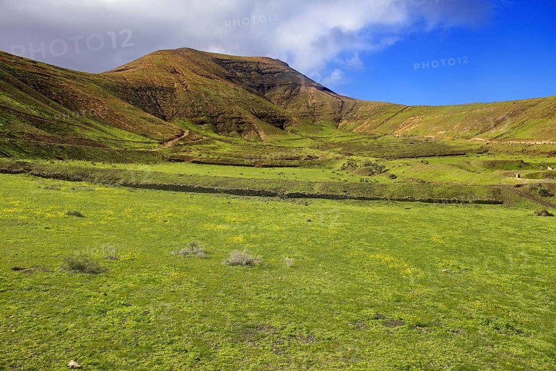 Green fields against a hilly background with blue sky and scattered clouds, Yaiza Lanzarote