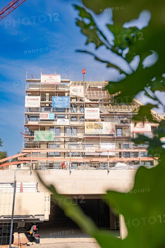 Scaffolding around a multi-storey building surrounded by plants, carpentry, new building, Stuttgart, Germany