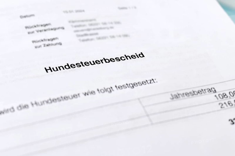 German tax notice document with the word Hundesteuerbescheid (translation: dog tax assessment notice) in focus. Municipal dog ownership tax requirement in Germany