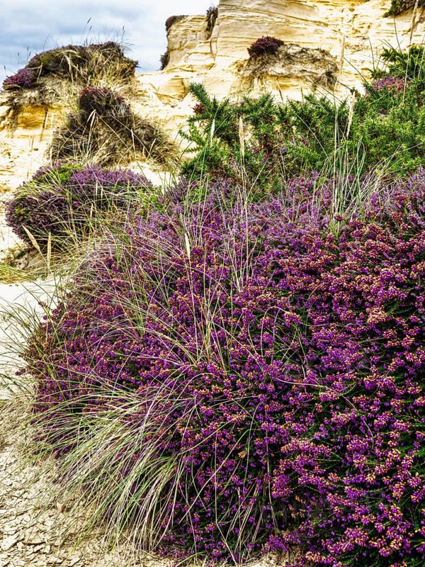 Moors over Hengistbury Head, Christchurch Head, English Channel, Dorset, England, United Kingdom