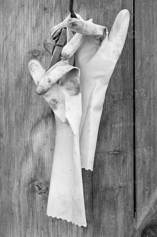 Old rubber gloves on a stable door on a former farm, black and white, Middle Franconia, Bavaria, Germany