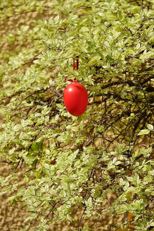 Still life with Easter egg in the garden on a tree, Germany