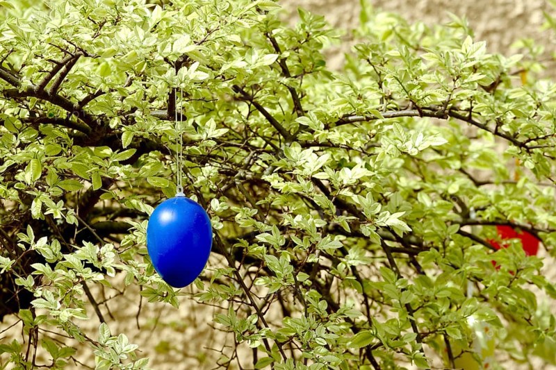 Still life with Easter eggs on a tree, Germany
