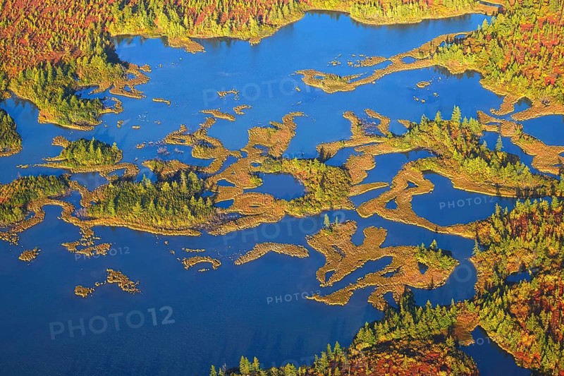 Aerial view of the taiga and lakes in autumn on the Yamal Peninsula, Yamalo-Nenets Autonomous Okrug, Russia, Asia