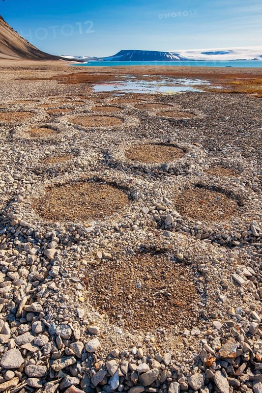 Natural geological formations shaped by cryoturbation (frost churning) in the Arctic desert, Nordaustlandet, Palanderbukta (Palander Bay), Zeipelodden, Svalbard, Norway