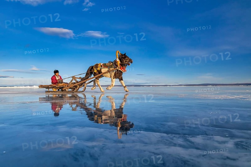 A local resident from northern Mongolia crosses Khuvsgul Lake, which is icy on slits drawn by a horse, in winter, Khuvsgul province, Mongolia