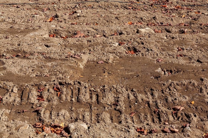 Excavator machinery tracks on compacted tan and light brown sand with scatterted fallen leaves at construction site, Quebec, Canada