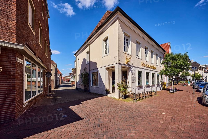 Deer-Apotheke, historic pharmacy, building, general architecture, street made of street clinker, urban trees, blue sky, cumulus clouds, Blumenstraße confluence in Mühlenstraße, Borken, Münsterland, Borken district, North Rhine-Westphalia, Germany