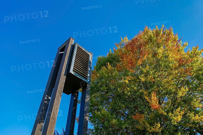 Großengstingen cemetery, ringing at the announcement hall, deciduous tree, autumn colors, colorful leaves, Großengstingen, municipality of Engstingen, district of Reutlingen, Swabian Alb, Baden-Württemberg, Germany