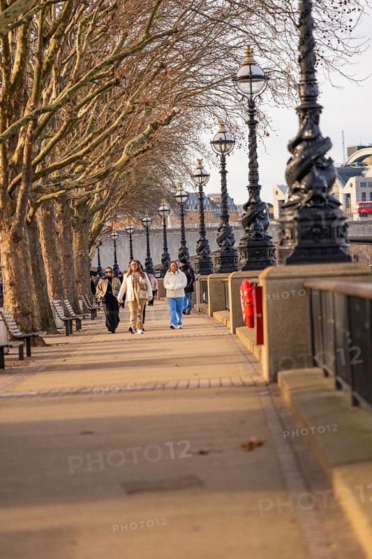 People walking along a tree-lined walkway with street lights, London, England, United Kingdom