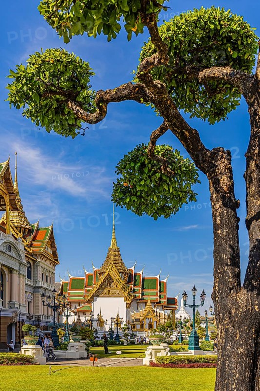 The Grand Royal Palace, trees with spherical branches, in the back the Chakri Maha Prasad throne hall with overlapping roofs and curved chofas, Phra Nakhon, Bangkok, Thailand's metropolis, Thailand