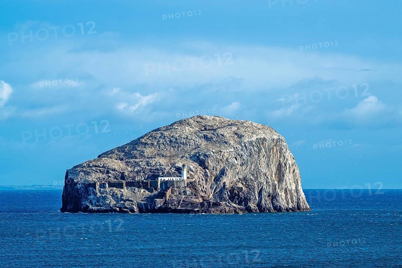 Bass Rock Island and Lighthouse, Scotland's Firth of Forth, Scotland, UK