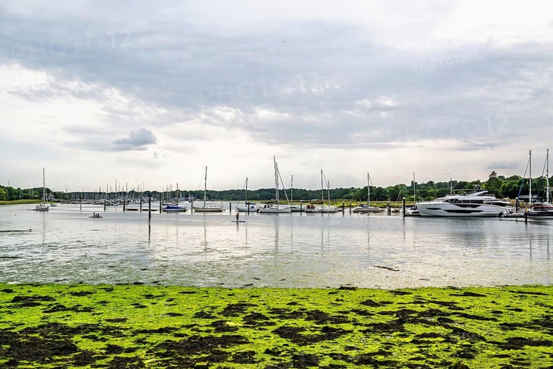 Swanwick Marina, River Hamble, Swanwick, Southampton, Hampshire, UK