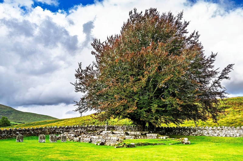 The Chapel at Hermitage, Hermitage Castle, Hermitage Water, Liddesdale, Roxburghshire, Newcastleton, Hawick, Scotland, UK