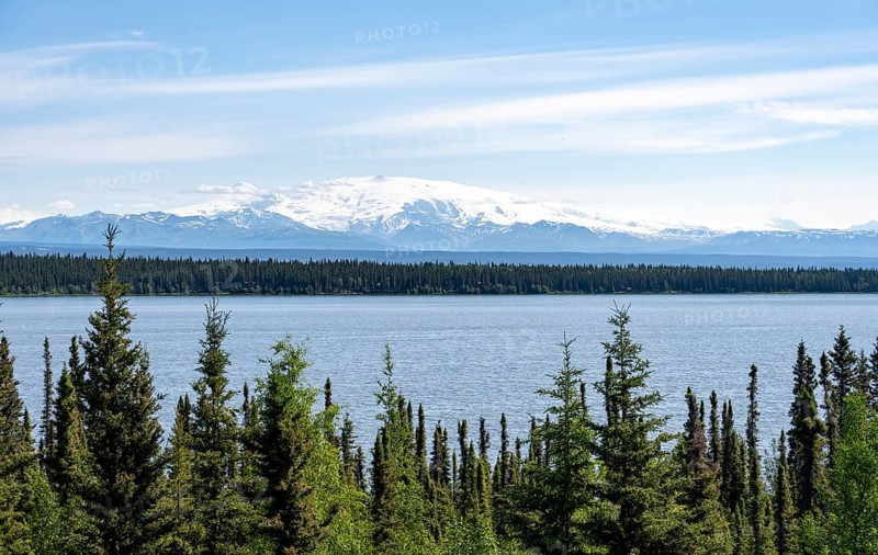 Lake Willow Lake, taiga landscape with high glaciated mountain peak Mount Wrangell, Wrangell Mountains, Alaska, USA