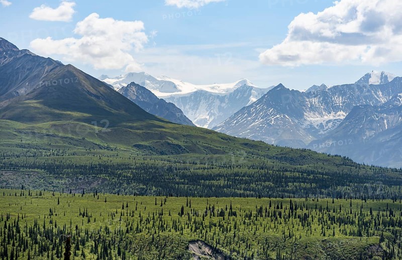 Taiga and tundra in front of mountain landscape, picturesque landscape with icy mountain peaks, Glenn Highway, Alaska, USA