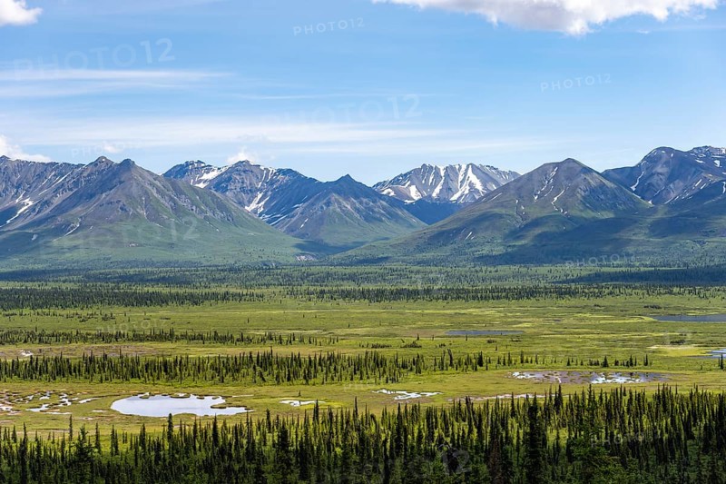 Taiga and tundra in front of mountain landscape, picturesque landscape, Glenn Highway, Alaska, USA