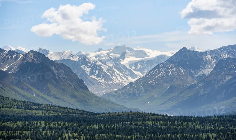 Taiga and tundra, glaciated mountain peaks at the back, Chugach Mountains, Alaska, USA