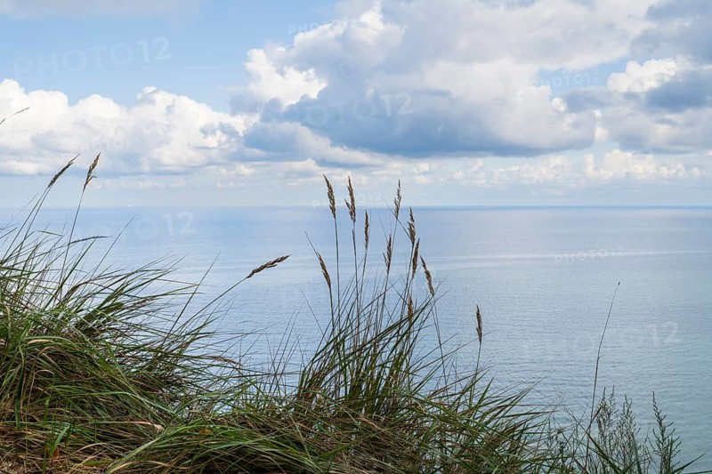 View of the Baltic Sea from steep bank, reed grass in the foreground, Granitz Nature Reserve, Southeast Rügen Biosphere Reserve, Rügen Island, Mecklenburg-Western Pomerania, Germany