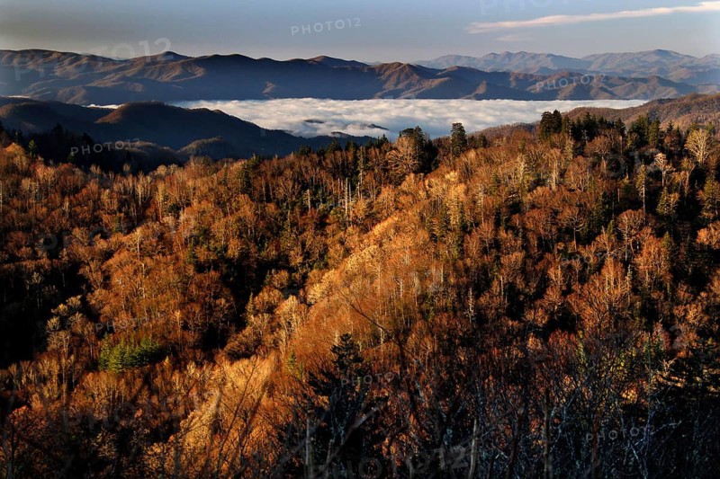 Autumn mountain landscape with fog near Chlingmans Dome, USA, Chlingmans Dome, Great Smoky Mountains, USA