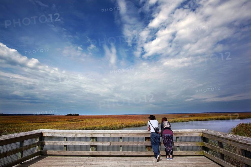 Visitors enjoy views of marshland from a jetty on Hunting Island, zero