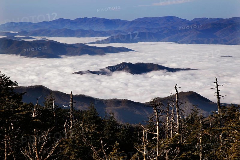 View of high fog over the Great Smoky Mountains from Chlingmans Dome, Chlingmans Dome, Great Smoky Mountains, USA