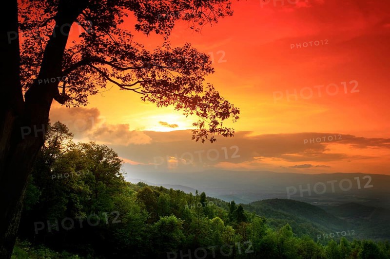 Colorful sunset over green landscape in Shenandoah National Park, Shenandoah, Virginia, USA