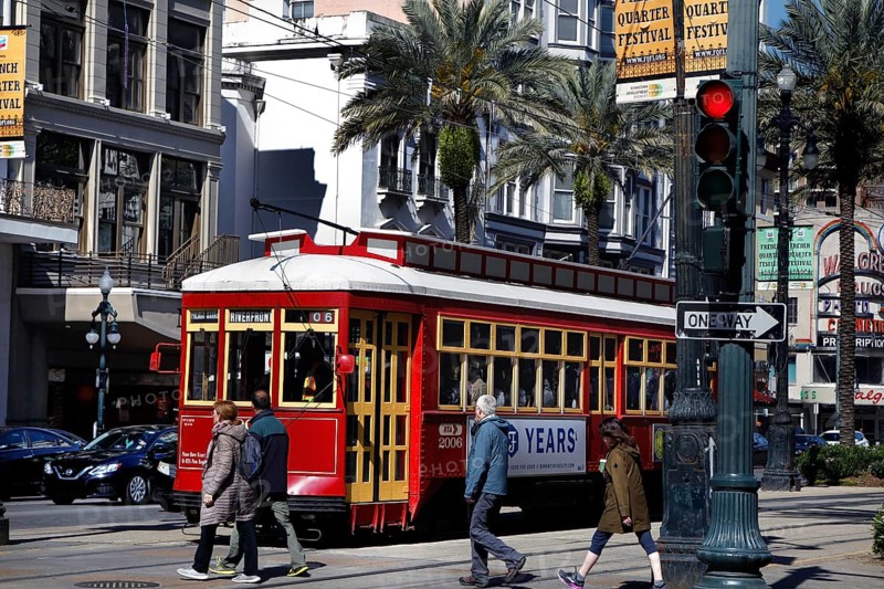 Red tram runs through urban environment with palm trees in New Orleans, New Orleans, null, USA