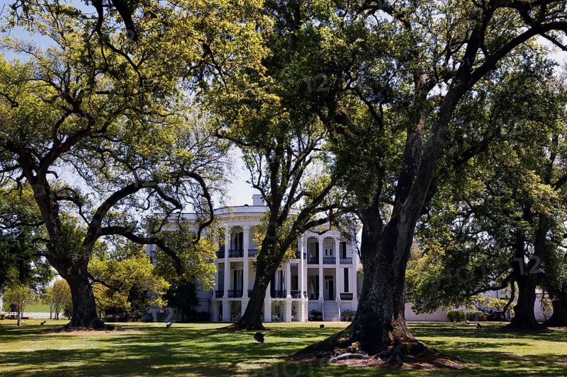 Nottoway Plantation mansion surrounded by mature trees and well-kept garden, zero