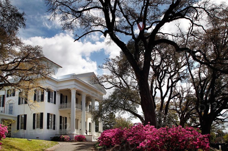 Impressive mansion with white pillars surrounded by blooming trees under a blue sky, Natchez, Mississippi, USA