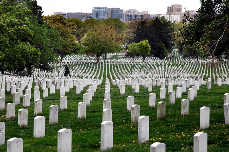 White tombstones stretch in straight rows across green terrain under blooming trees, Washington D.C, USA