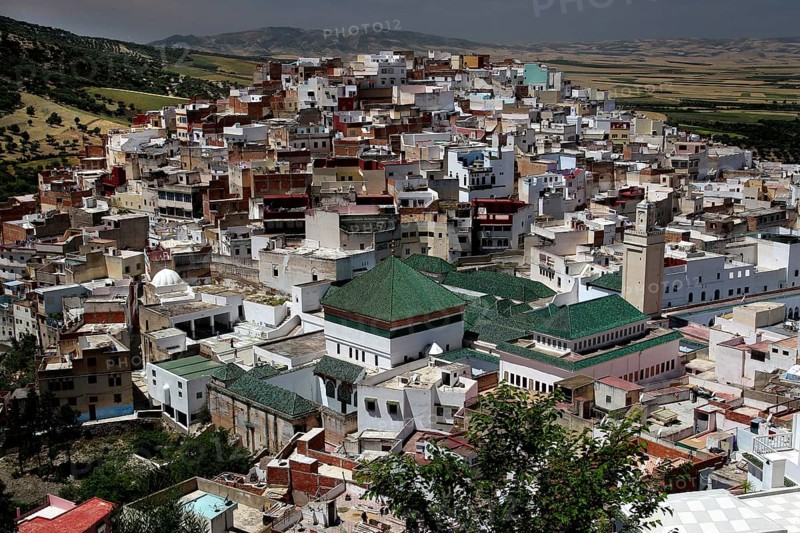 View of the densely built town of Moulay Idris with its distinctive green roofs, Moulay Idris, Morocco