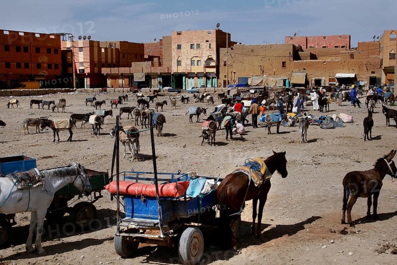 Donkey parking next to a busy market in Rissani, Rissani, Niger, Morocco