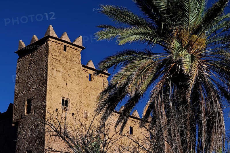 Kasbah Ait Abou Ali in Skoura with high walls and palm trees, against clear blue sky, Skoura, Drâa-Tafilalet region, Morocco