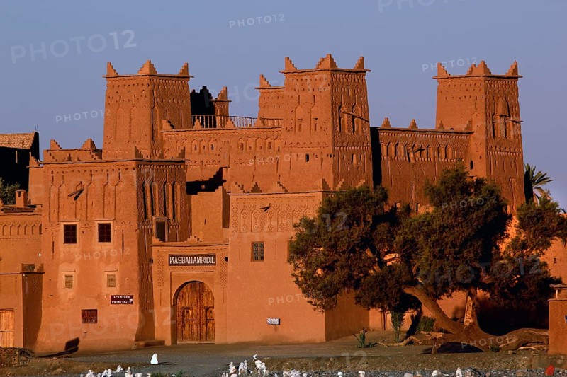 Kasbah Amerhidil in Skoura, surrounded by desert vegetation, showcases impressive traditional architecture, Skoura, Drâa-Tafilalet region, Morocco
