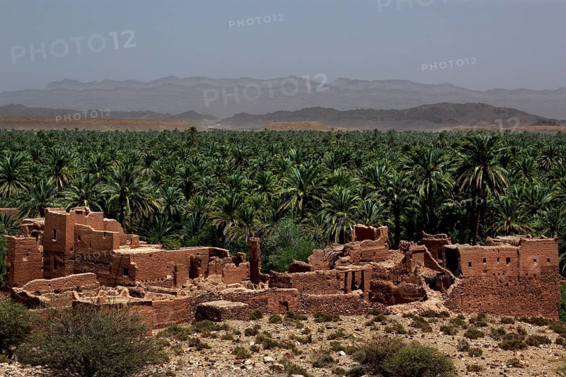 Palm oasis with an old kasbah in Tamnougalt, Tamnougalt, Drâa-Tafilalet, Morocco