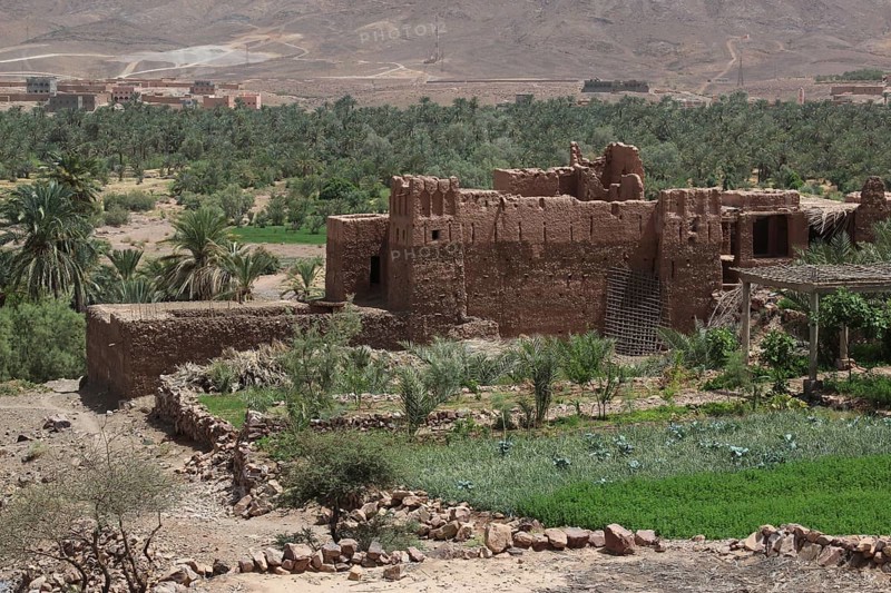 Kasbah in Tamnougalt surrounded by green palmery and desert landscape, Tamnougalt, Drâa-Tafilalet region, Morocco