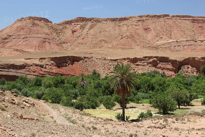 Desert landscape of Tamdakth with rocky hills and green oases, Tamdakht, Drâa-Tafilalet region, Morocco