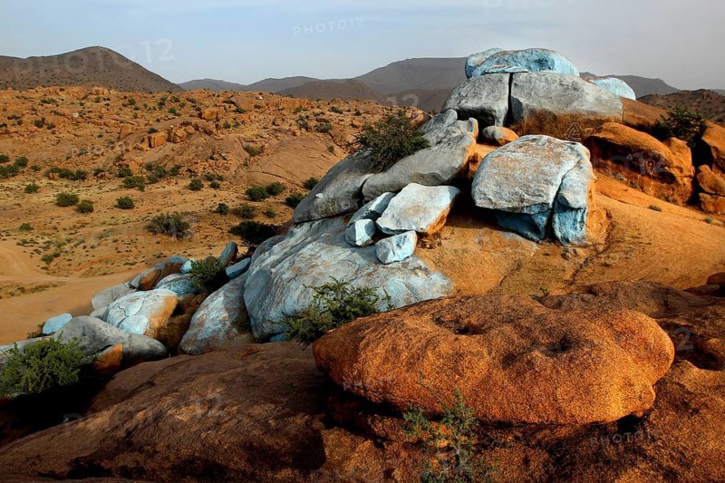 Color accents on the sparsely vegetated hills of the desert around Tafraoute, Tafraoute, Souss-Massa, Morocco