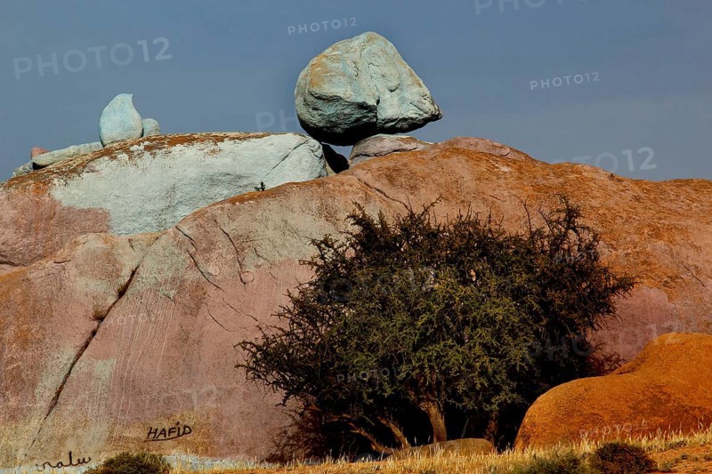 Large rock with painted areas and tree, work by Jean Verame in Tafraoute, Tafraoute, Souss-Massa, Morocco