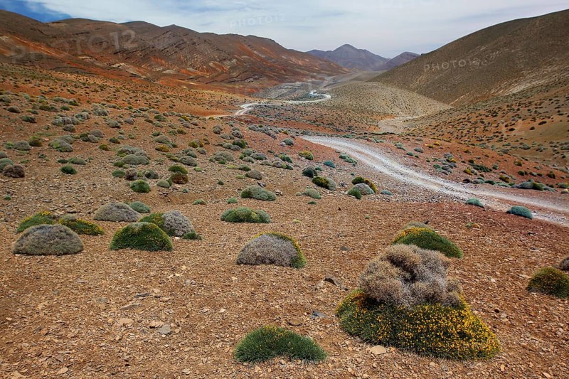 View of a valley with a serpentine road in a rocky, barren area, Tizgui n'Ouadda, Morocco