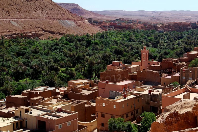 View of buildings amidst a green oasis in the Todra Gorge, Todra, Morocco