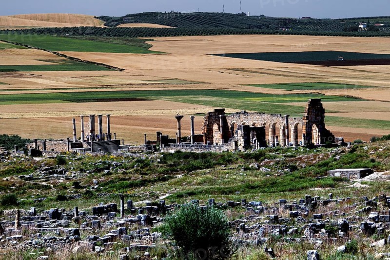 Basilica and Capitol of Volubilis surrounded by ruins and vast fields. The ancient structures rise majestically, Volubilis, Morocco, Morocco