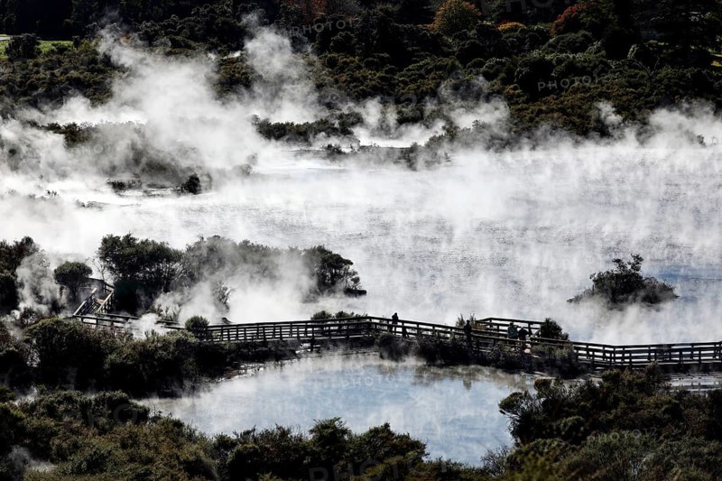 Steaming geothermal area with bridge in Whakarewarewa near Rotorua, Rotorua, New Zealand