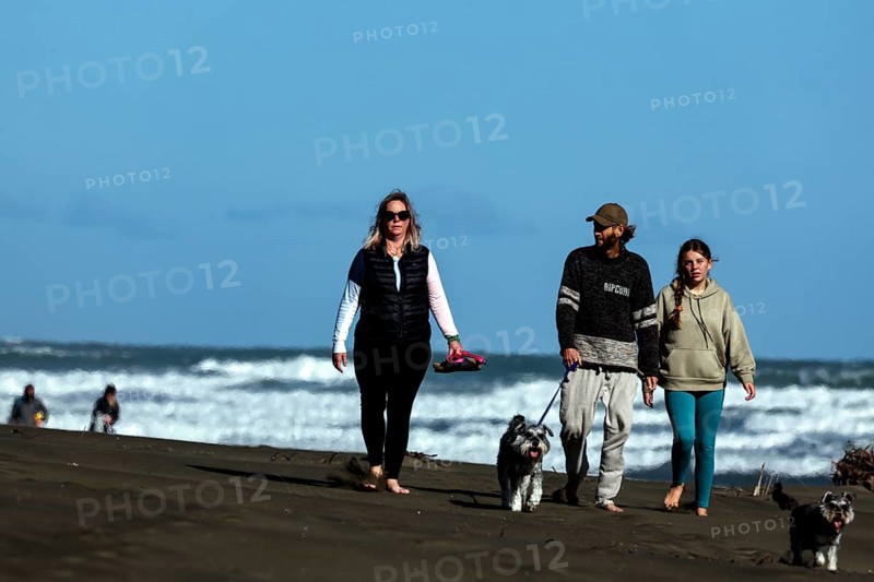 Group of walkers with dogs enjoying a sunny day at the beach, Te Henga, New Zealand
