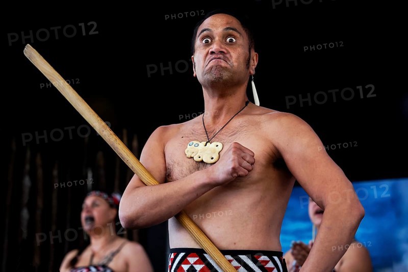 A Maori man with intense facial expression during a cultural performance with a wooden stick, Rotorua, Bay of Plenty, New Zealand